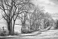 SG_Z7_IR_20240409_016_edit_VERO